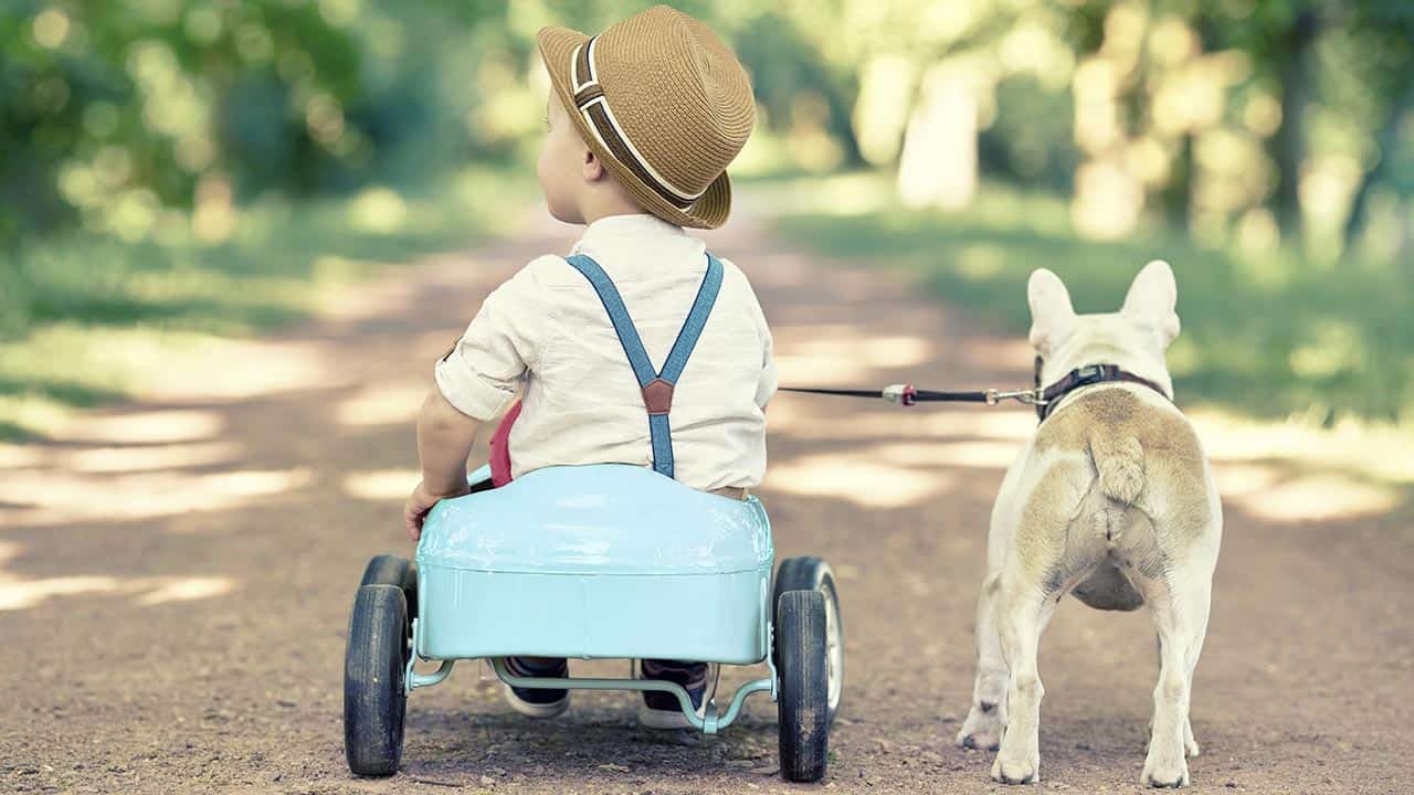 Kind fährt in Spielzeugauto mit Hund an der Leine