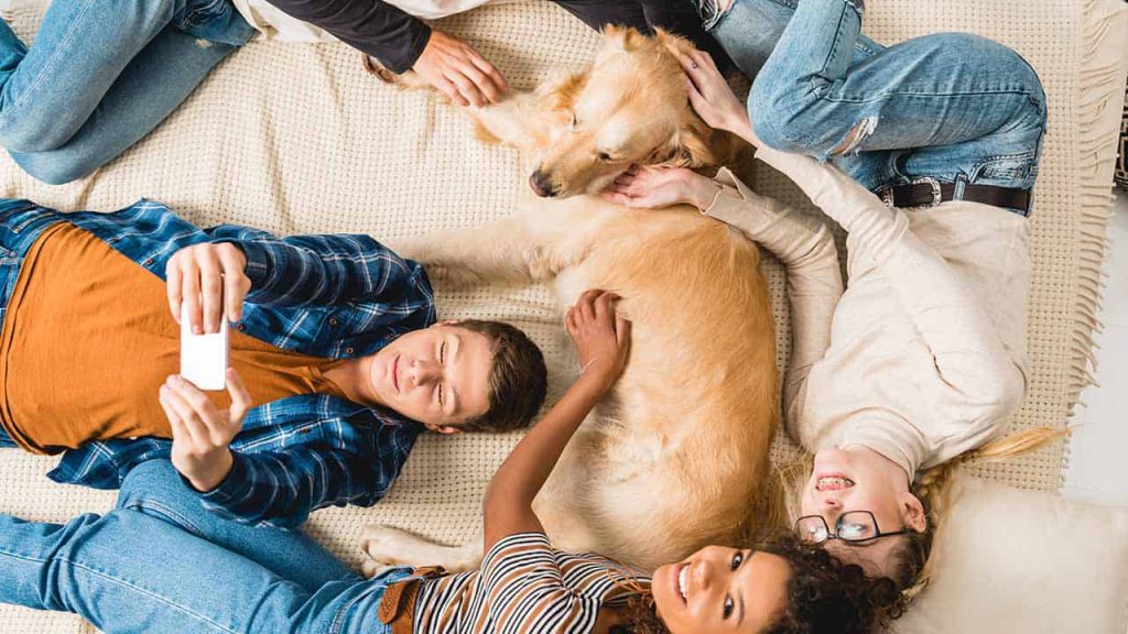 Hund liegt mit Familie auf Teppich